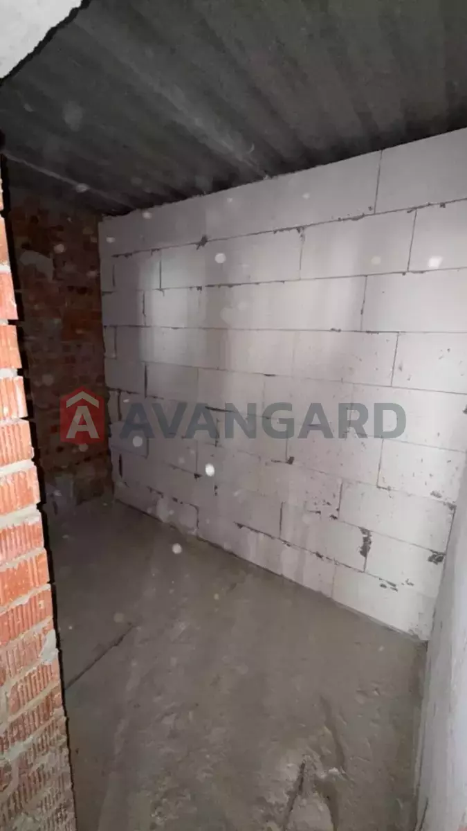 2 ����. ��������, 78/-/- ��. �., 10/10 ���� ���� 4