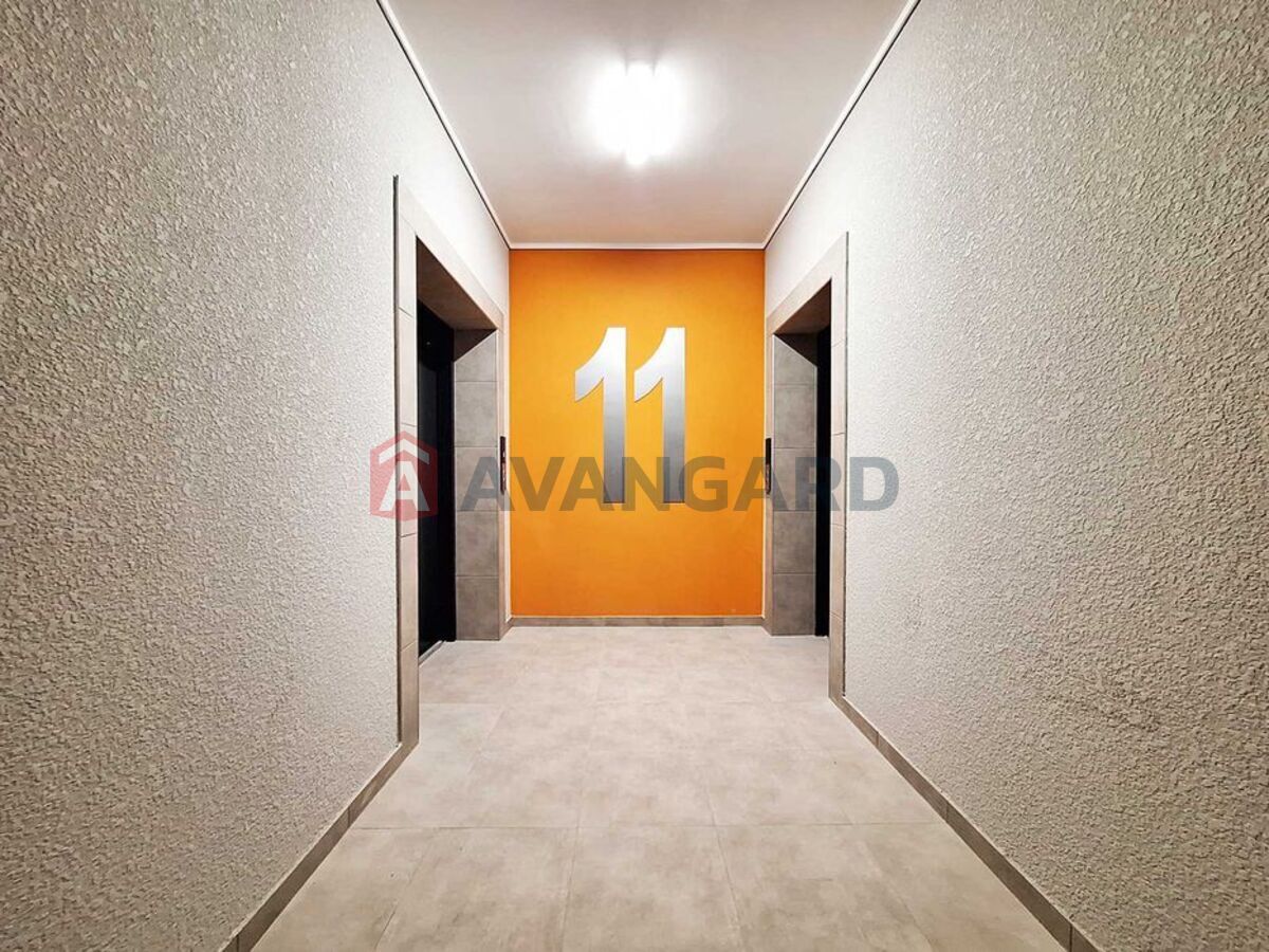 1 ��. ��������, 37/-/5 ��. �., 11/17 ������ ���� 6