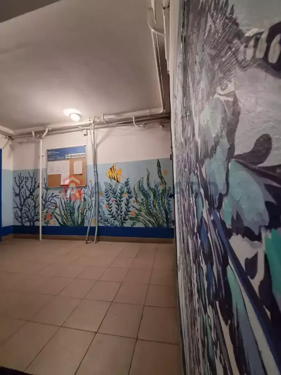 4 ����. ��������, 81/48/10 ��. �., 5/9 ���� ���� 8