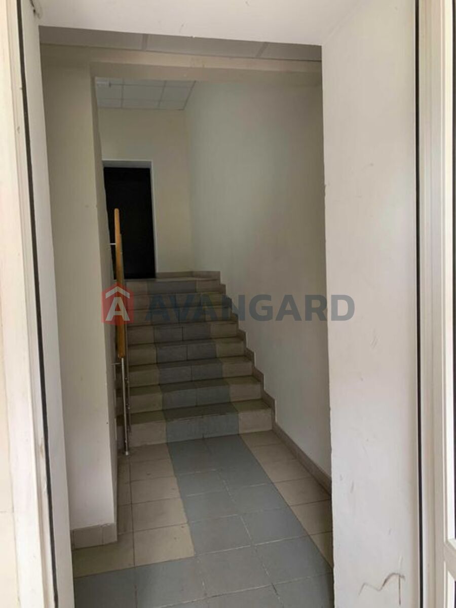 1 ��. ��������, 73/-/15 ��. �., 5/5 ������ ���� 4