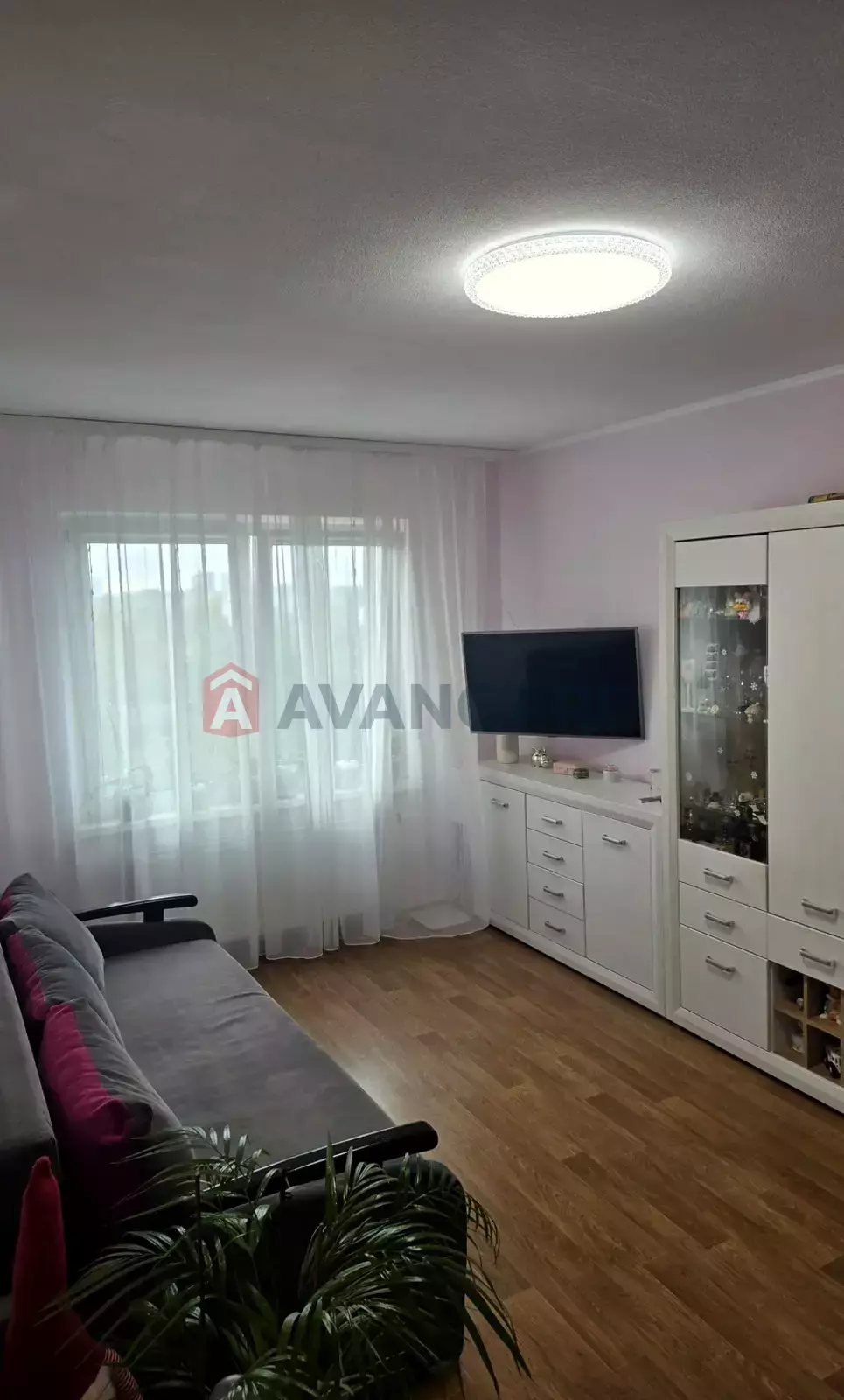 1 . , 36.2/17.3/7.1 . ., 7/24   1