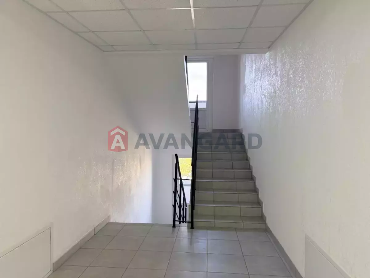 3 ��. ��������, 80/-/- ��. �., 9/9 ������ ���� 14