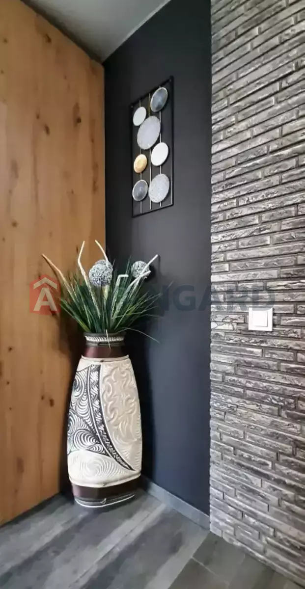 1 ����. ��������, 31/18/6 ��. �., 6/9 ���� ���� 16