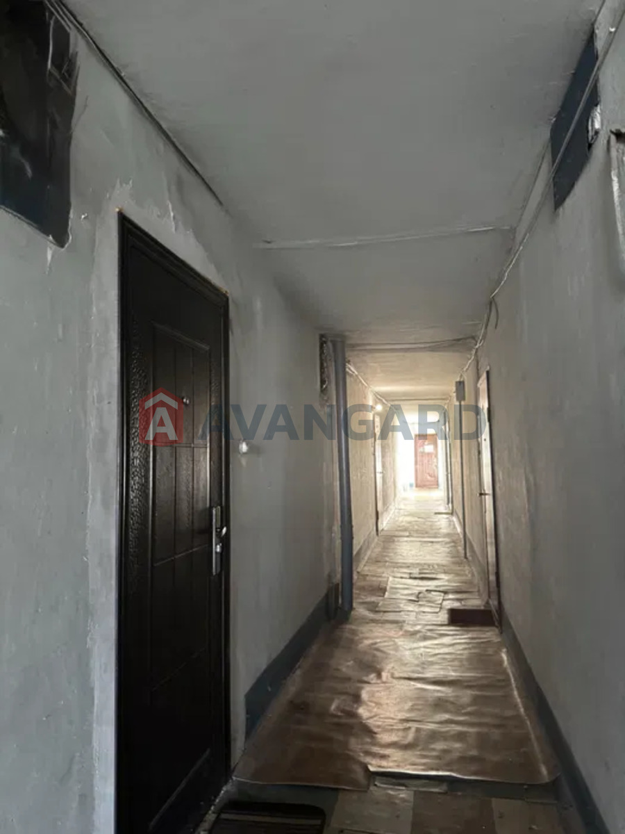 1 ��. ��������, 36/-/8 ��. �., 16/16 ������ ���� 15