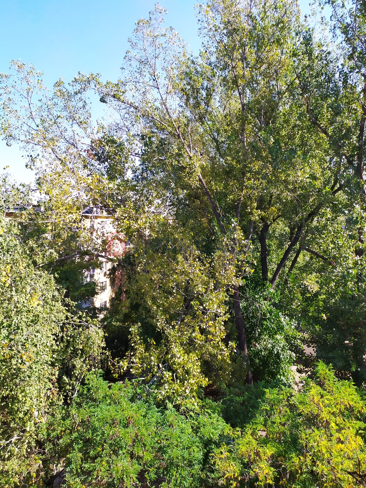 3 ��. ��������, 63/48/6 ��. �., 5/5 ������ ���� 4