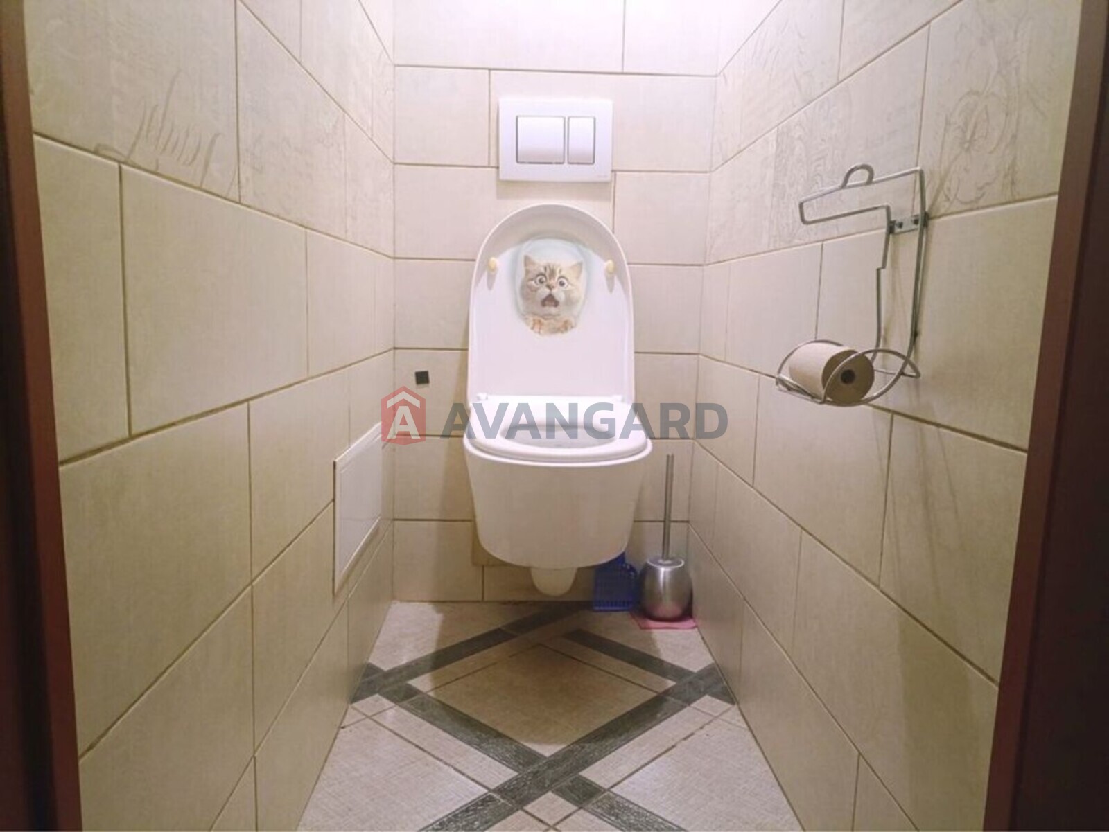 3 ��. ��������, 71/-/8 ��. �., 4/10 ������ ���� 7