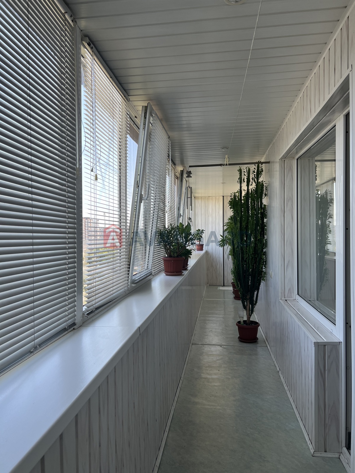 3 . , 102/66/14 . ., 9/9   18