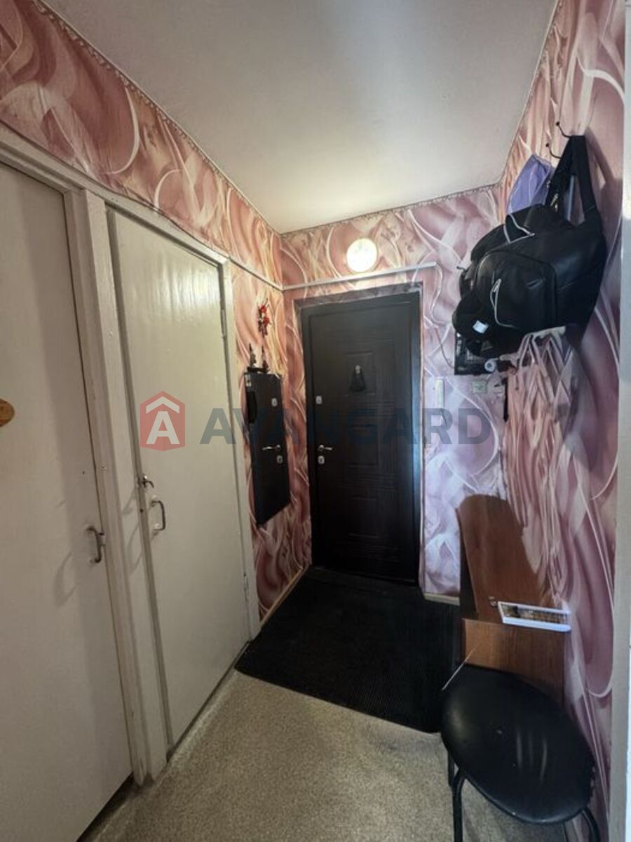 1 ����. ��������, 36/-/8 ��. �., 16/16 ���� ���� 11