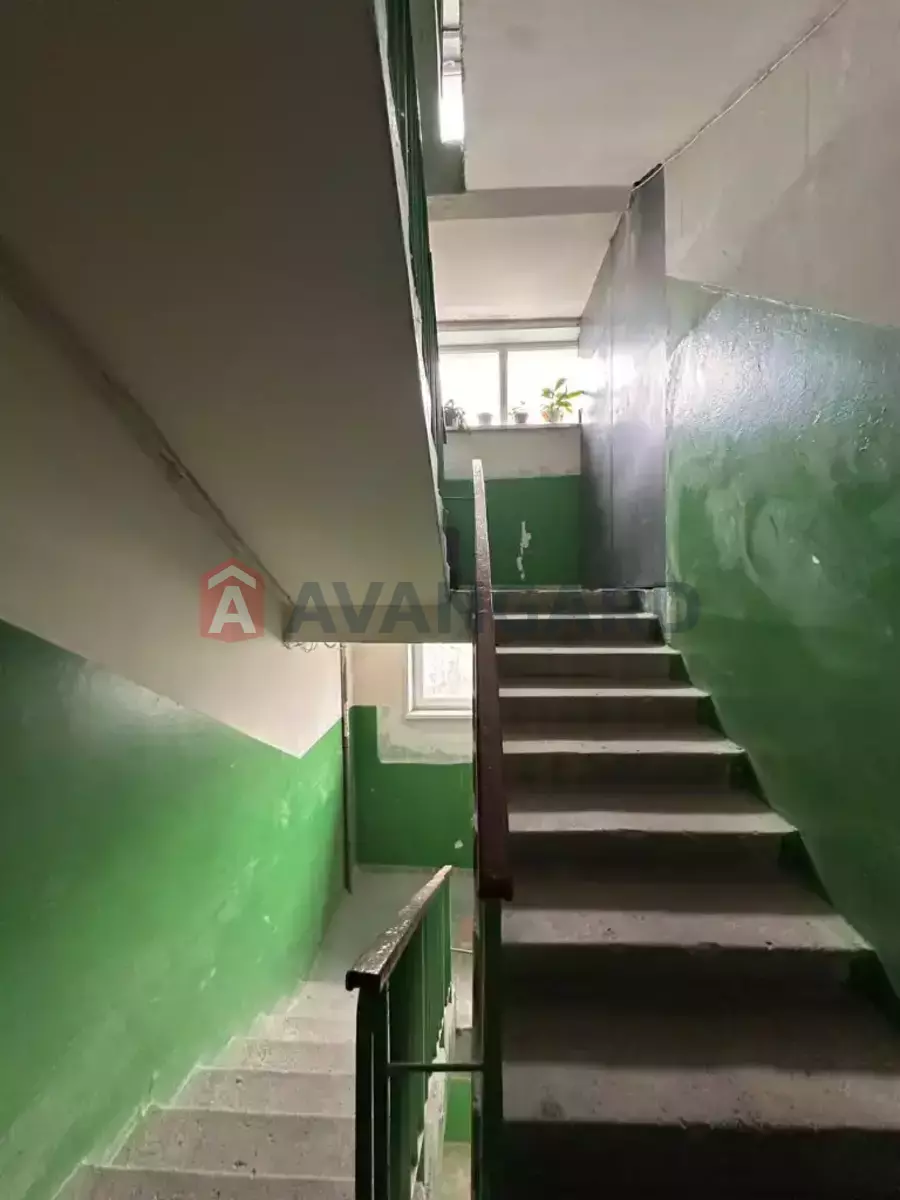 3 ����. ��������, 65/-/8 ��. �., 7/9 ���� ���� 24