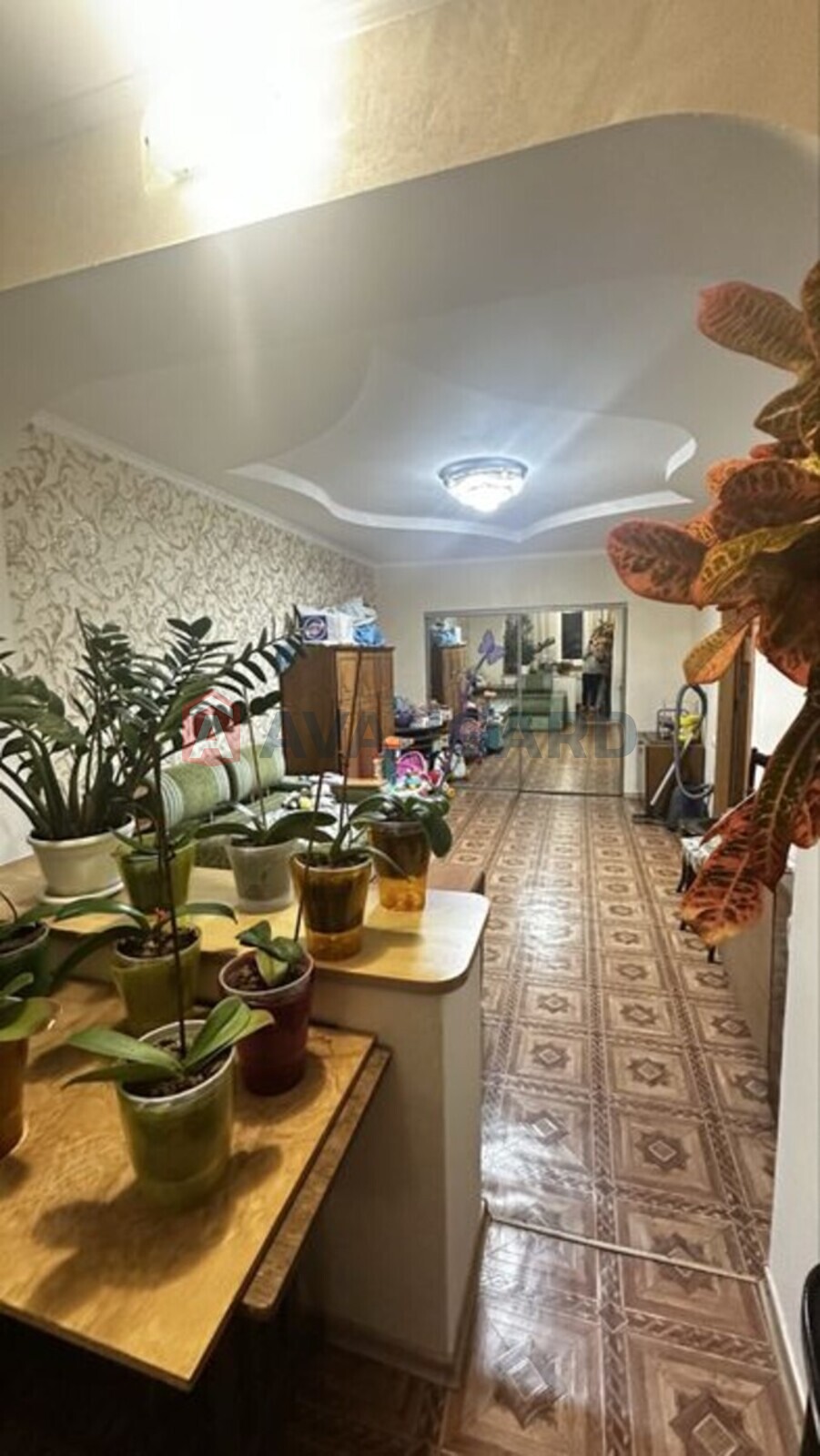 2 ����. ��������, 52/-/9 ��. �., 8/9 ���� ���� 9