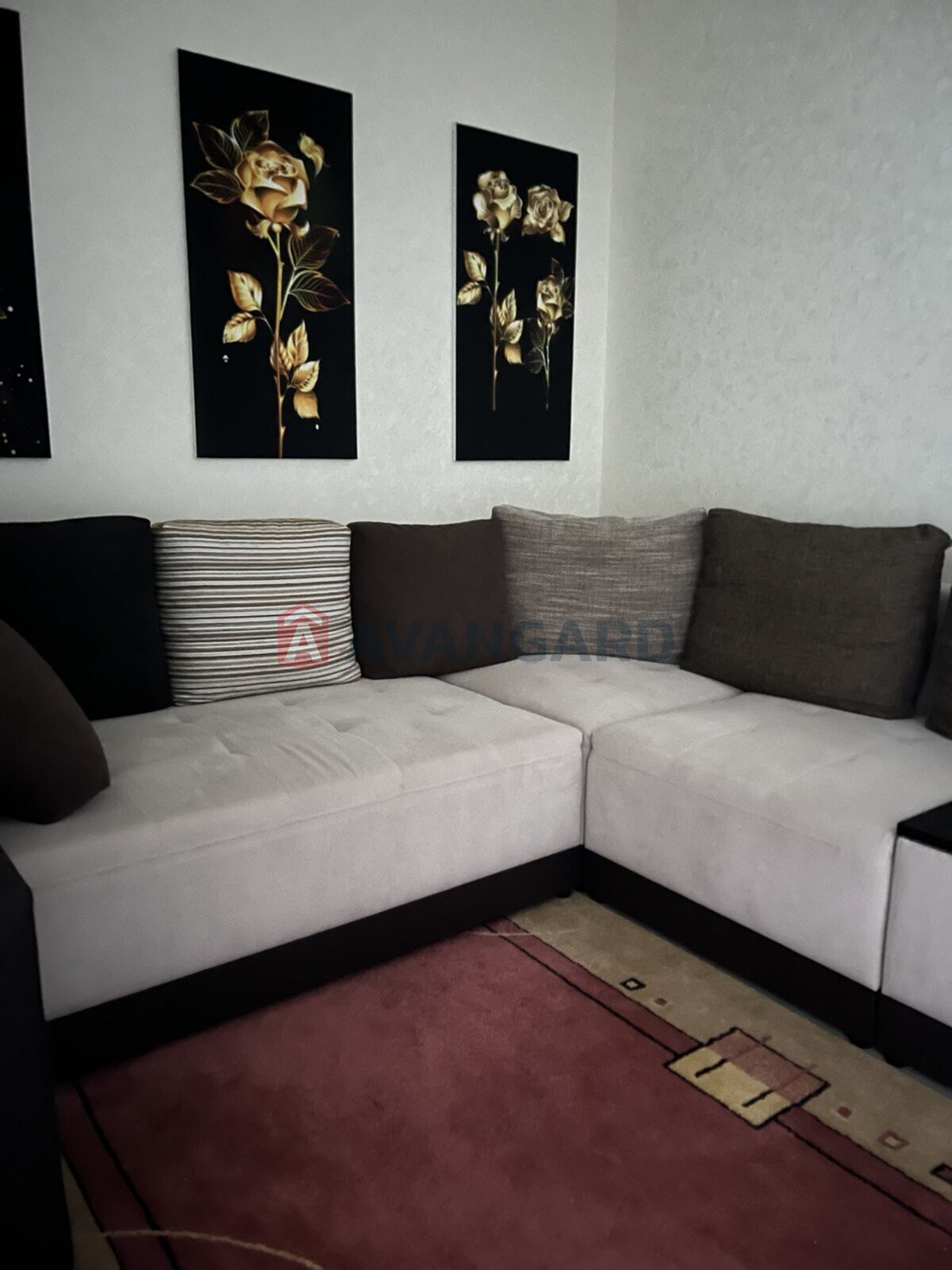 2 ��. ��������, 46/-/12 ��. �., 3/10 ������ ���� 10