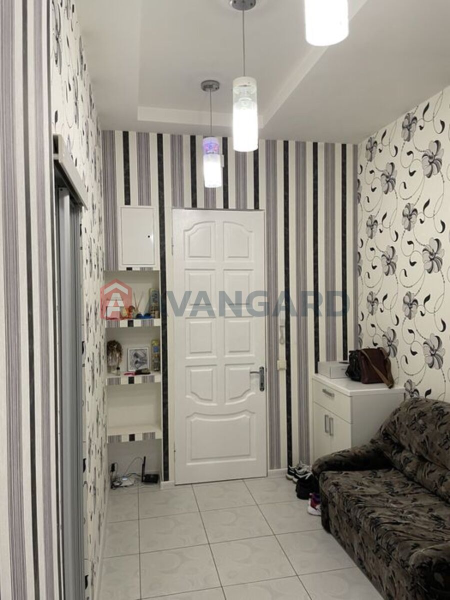 3 ����. ��������, 74/42/20 ��. �., 4/4 ���� ���� 8