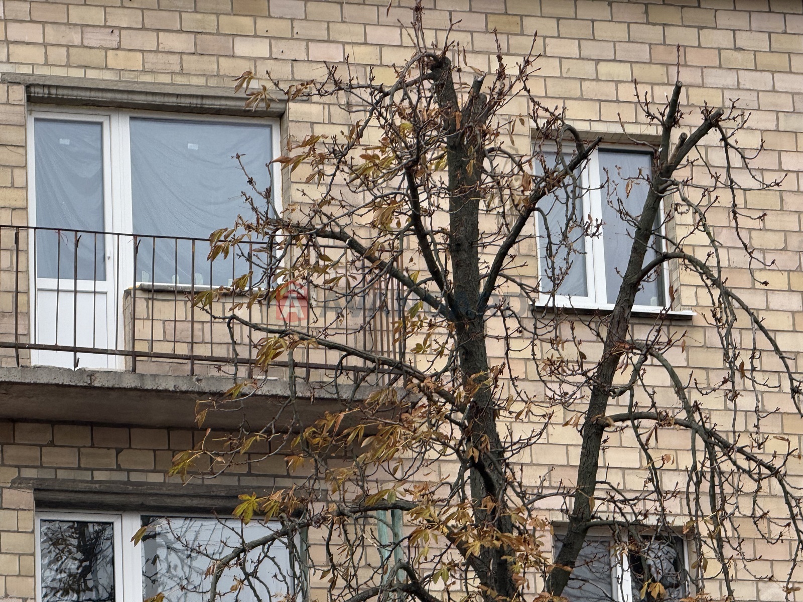 2 ��. ��������, 43,4/27,3/6 ��. �., 5/5 ������ ���� 3