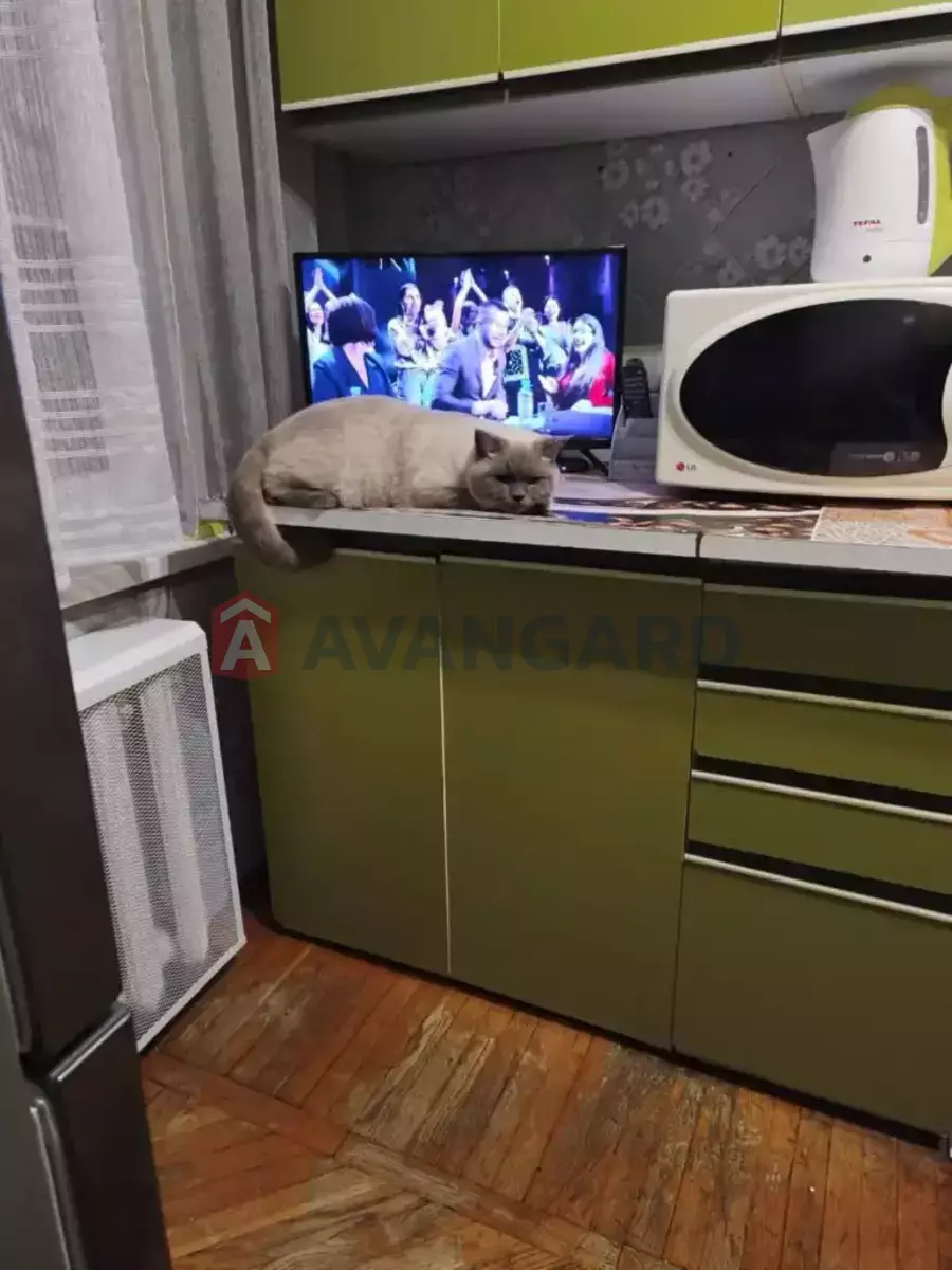 3 ����. ��������, 64/-/7 ��. �., 8/9 ���� ���� 5