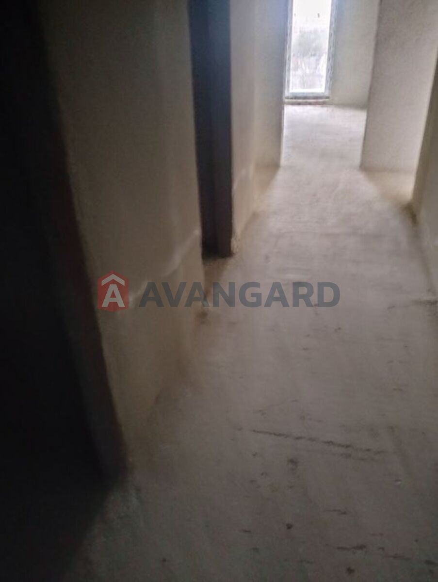 2 ��. ��������, 55/-/17 ��. �., 4/6 ������ ���� 5