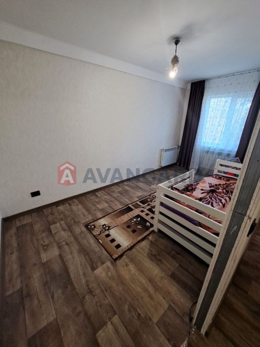 3 ��. ��������, 53/-/6 ��. �., 4/5 ������ ���� 1