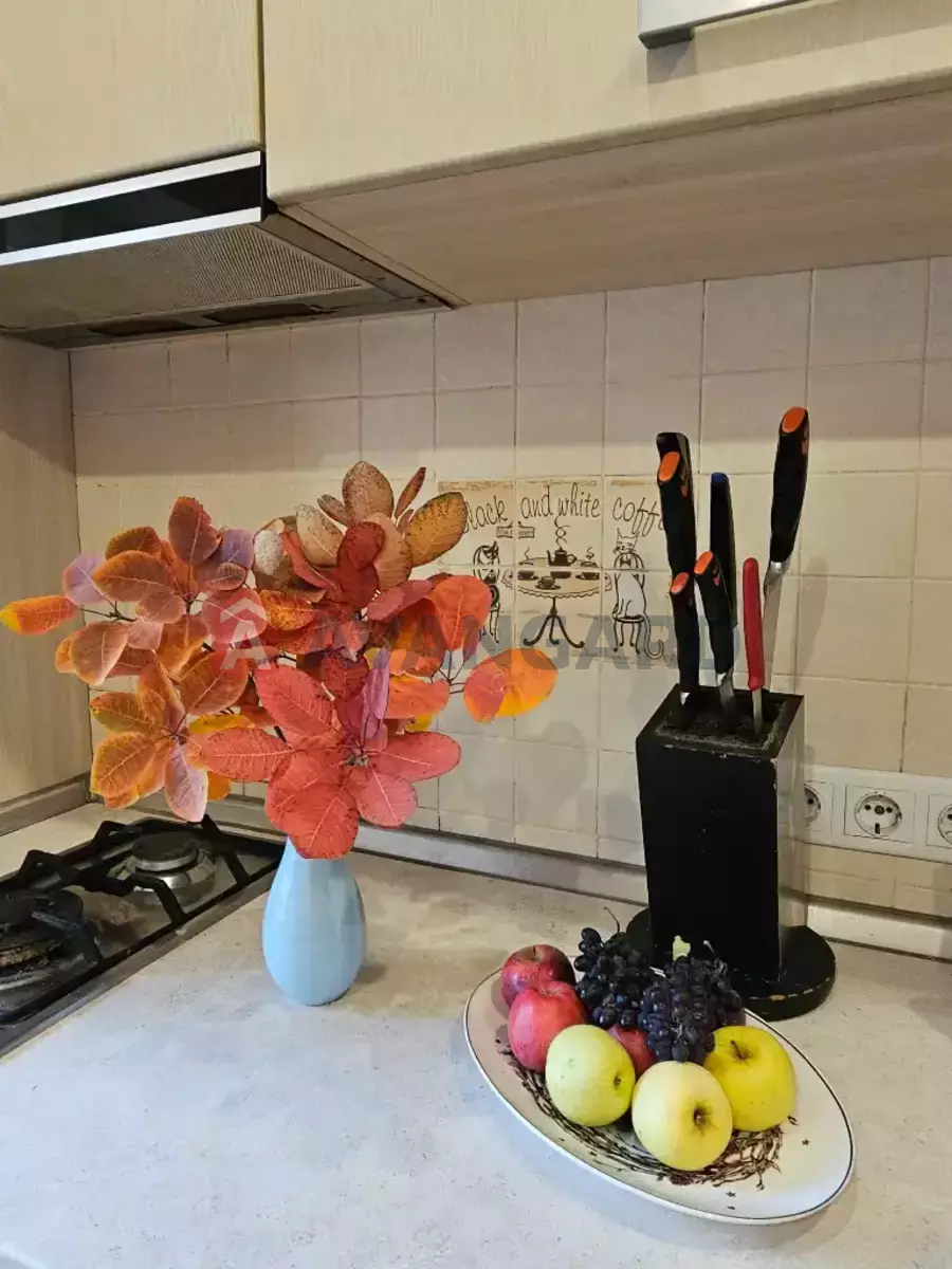 3 . , 65/38/10 . ., 6/9   18