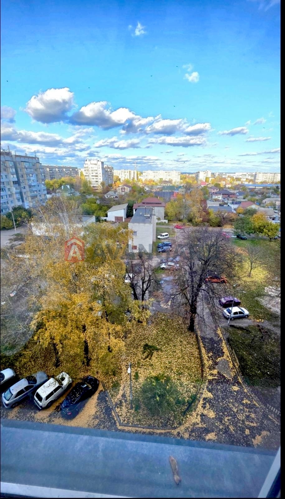 3 ����. ��������, 63/-/6 ��. �., 8/9 ���� ���� 6