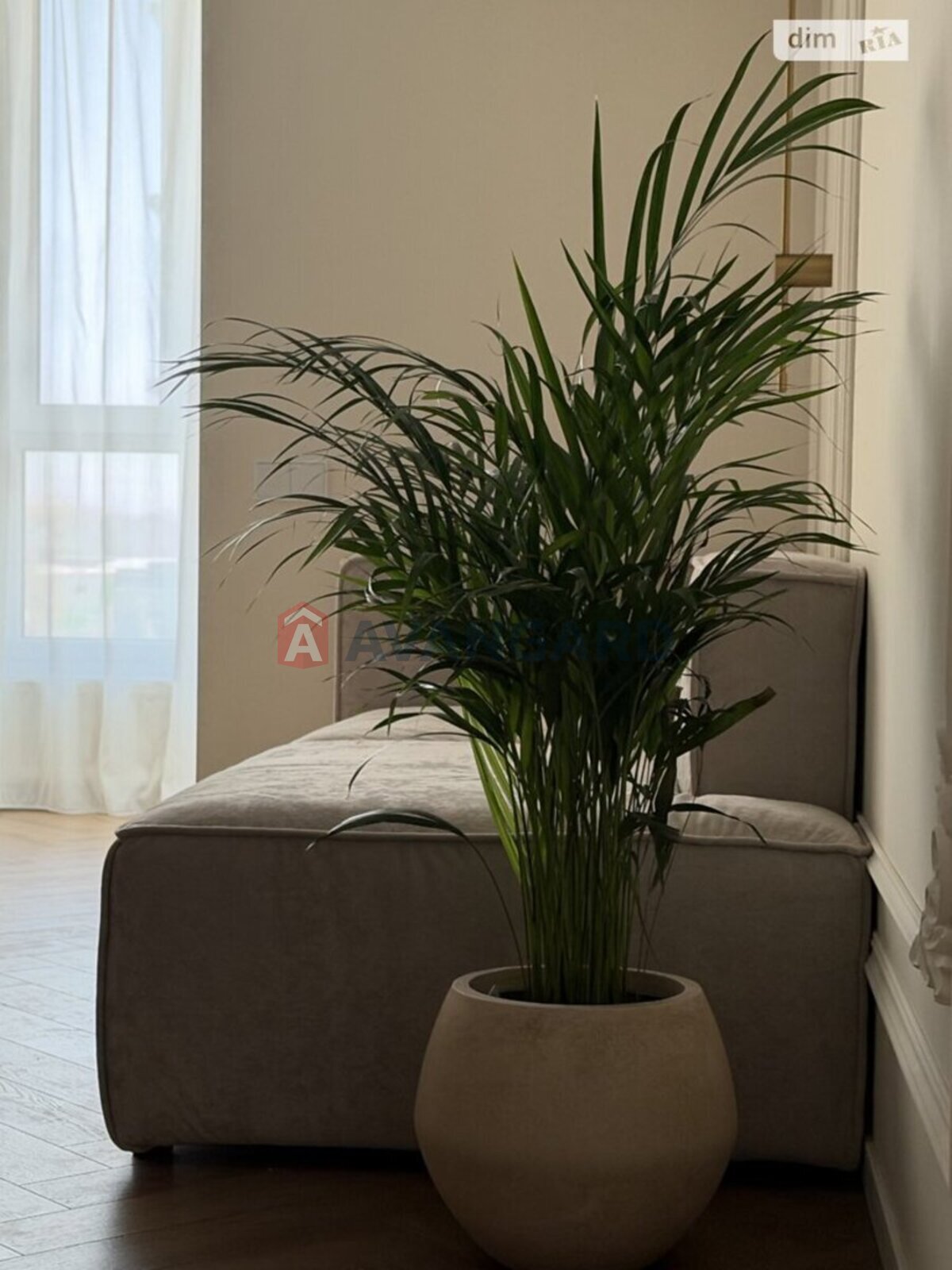 1 ����. ��������, 48/-/8 ��. �., 5/12 ���� ���� 8