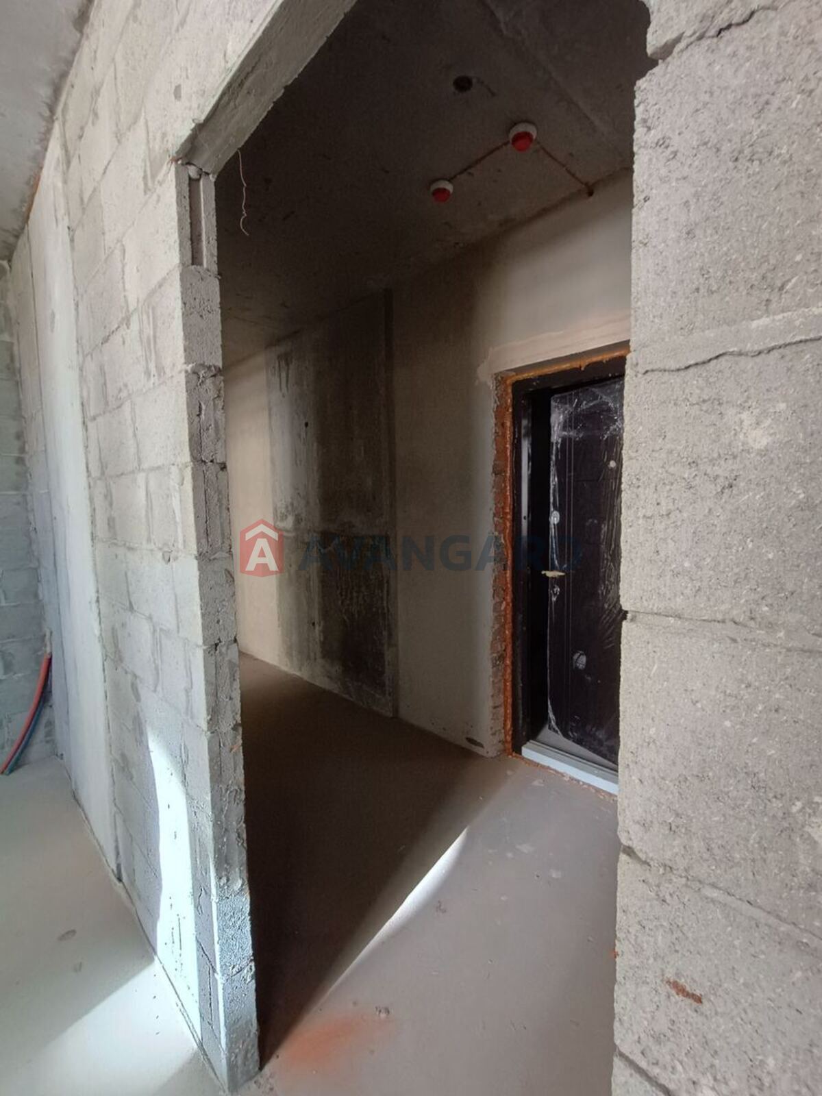 1 ����. ��������, 42/14/9 ��. �., 9/26 ���� ���� 8