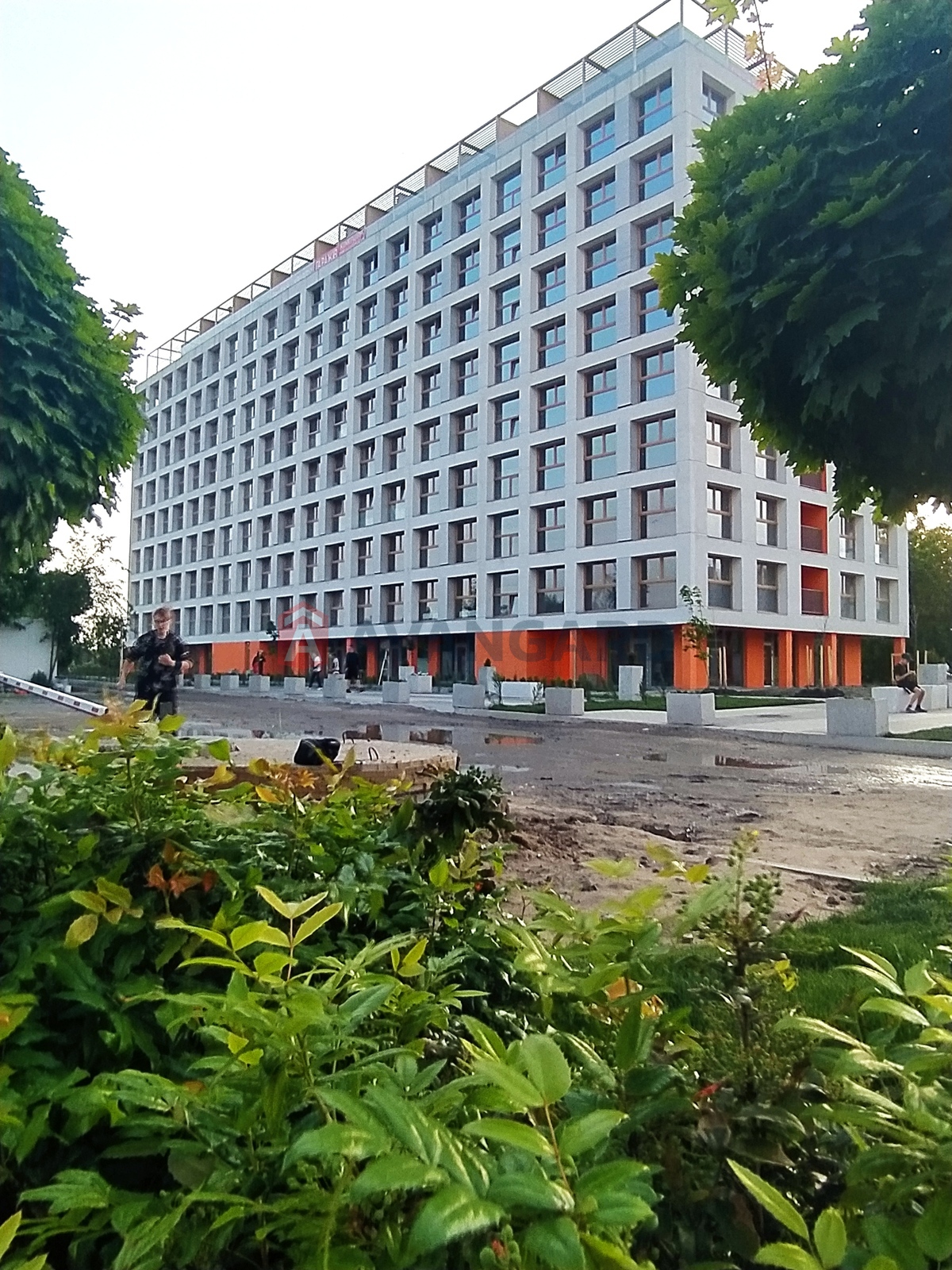 �����, 18 ��.�. ���� 15