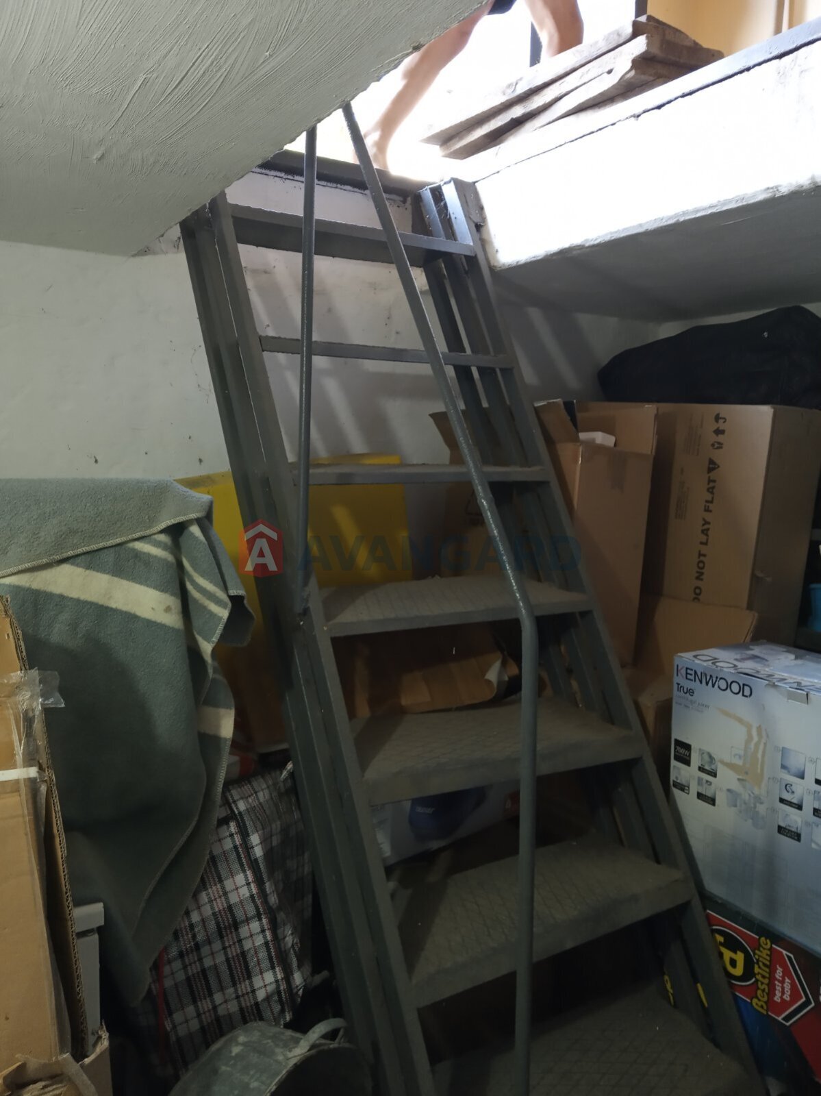 �����, 36 ��.�. ���� 11