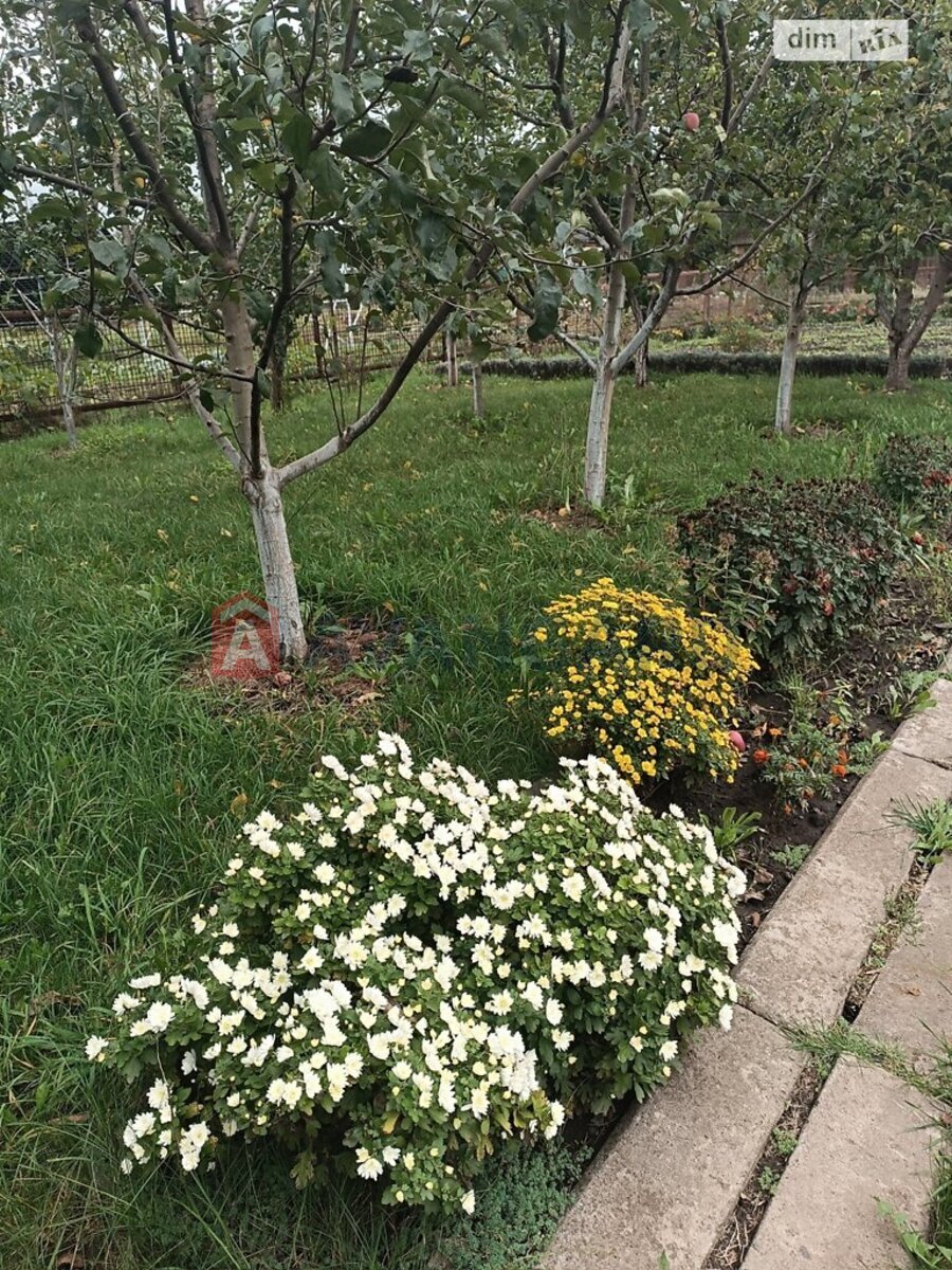 �������, 84 ��.�. ���� 21