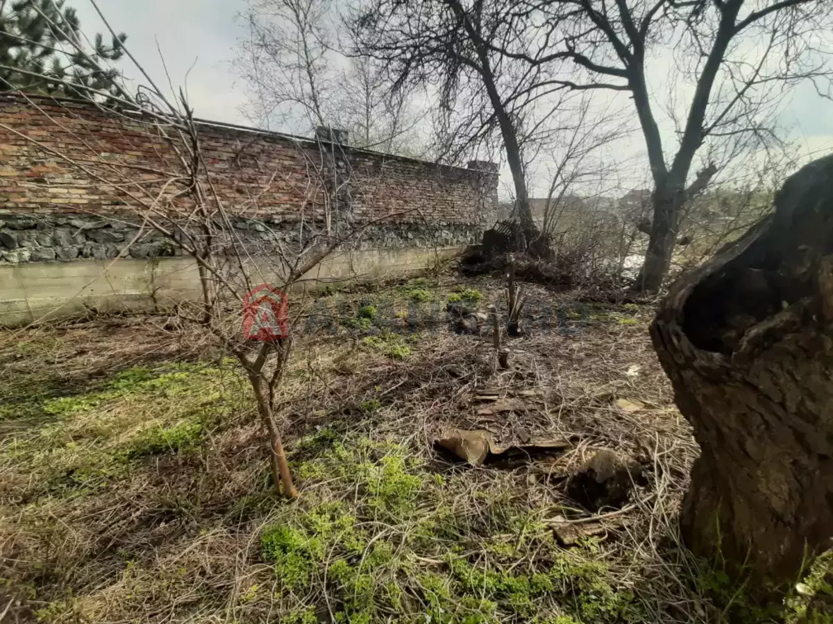 ���, 48 ��.�. ���� 5