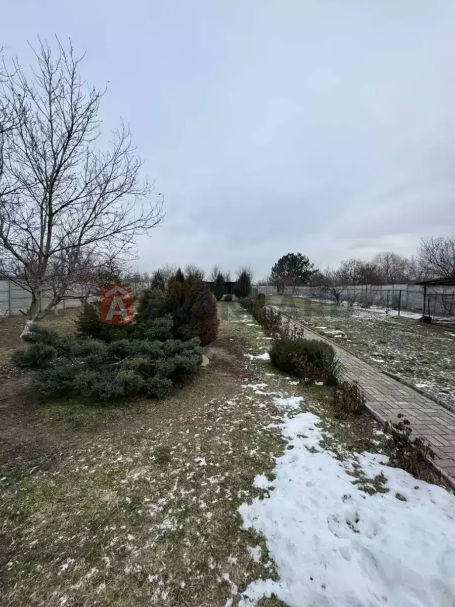 �������, 130 ��.�. ���� 19