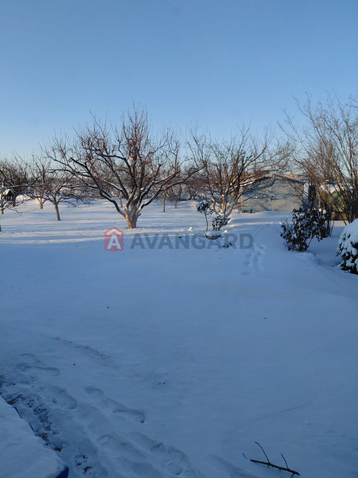 �������, 225 ��.�. ���� 3