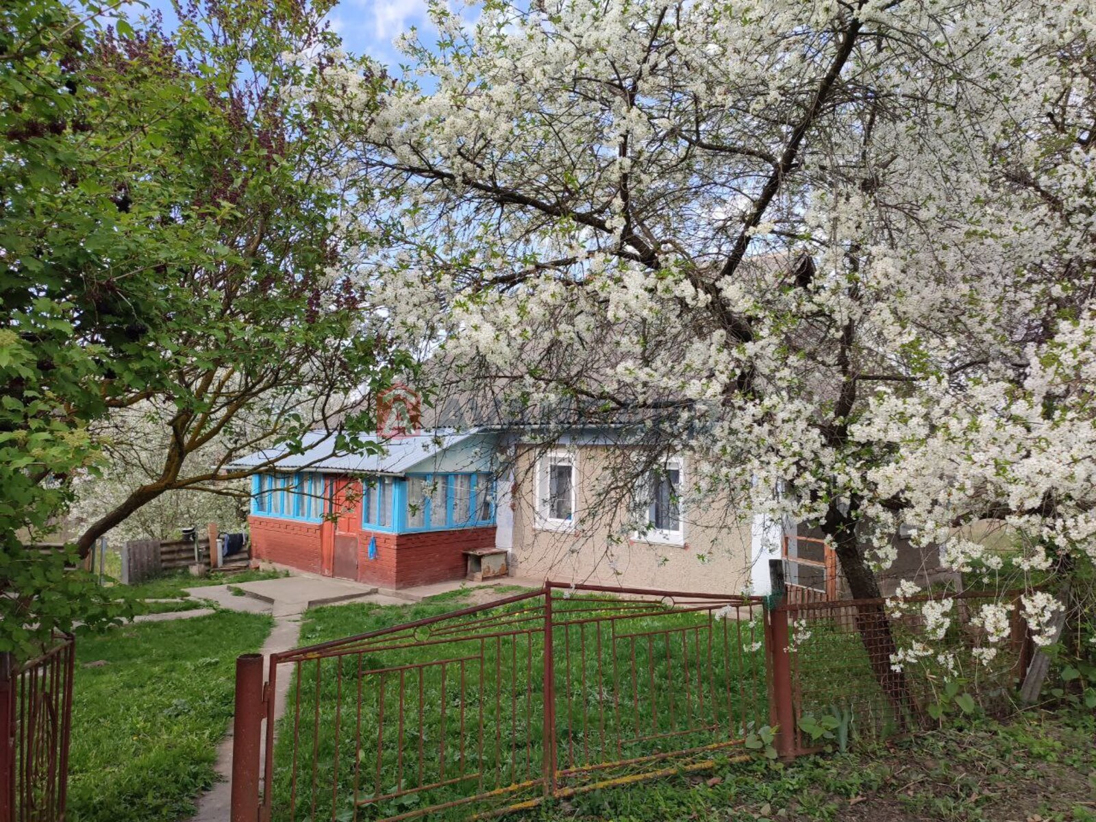 �������, 60 ��.�. ���� 14