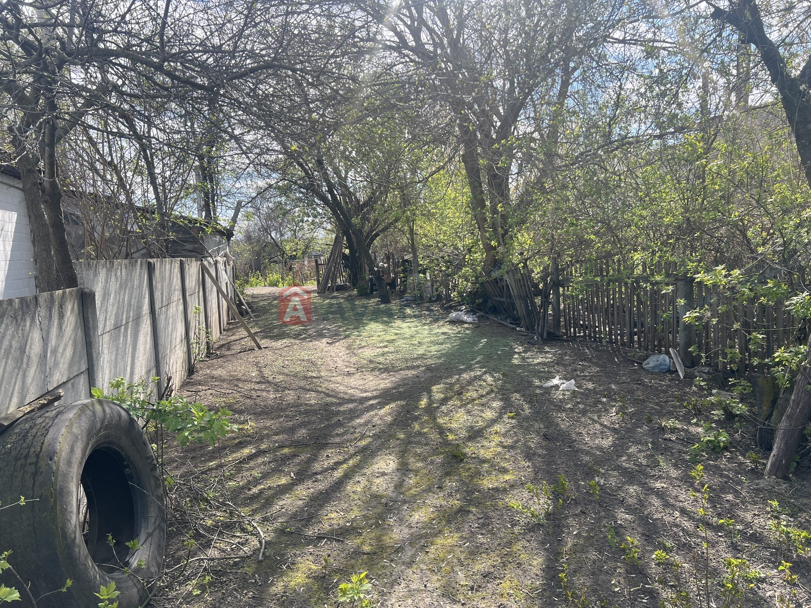 �������, 50 ��.�. ���� 4