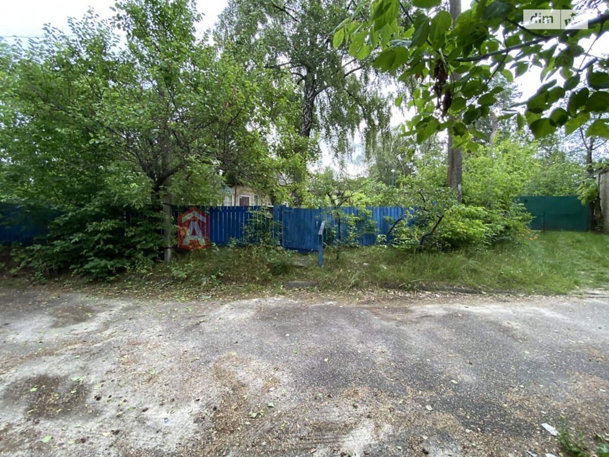 �������, 61 ��.�. ���� 11