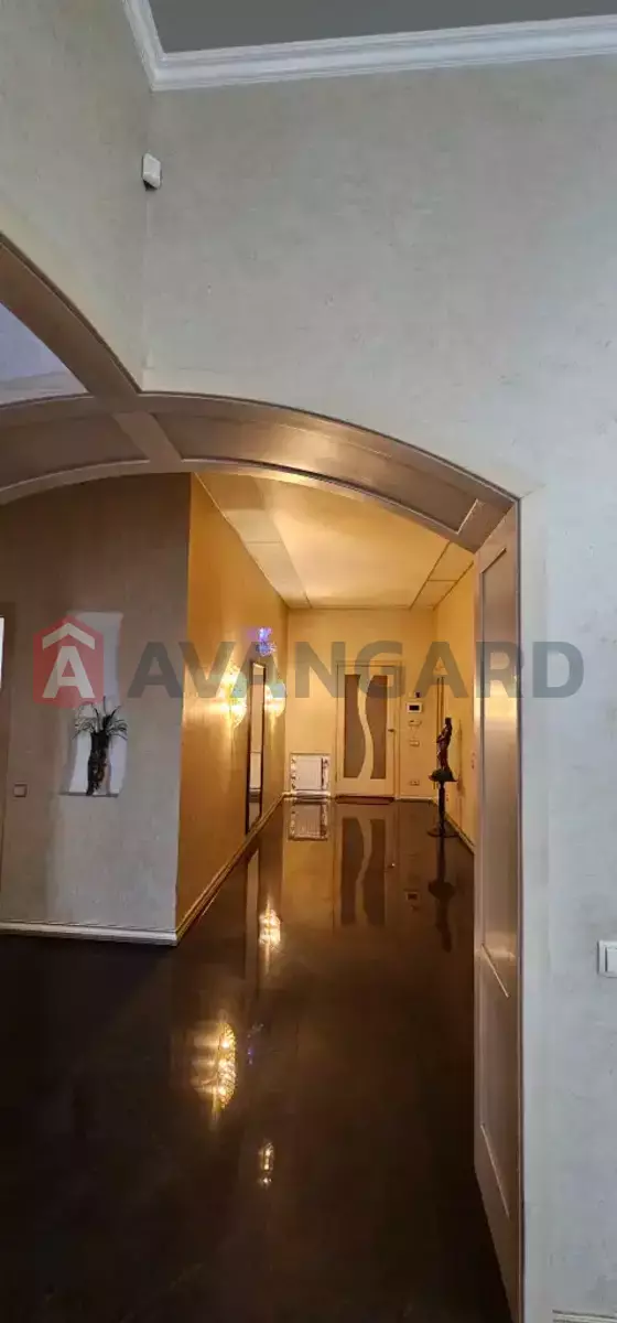 �������, 202 ��.�. ���� 8