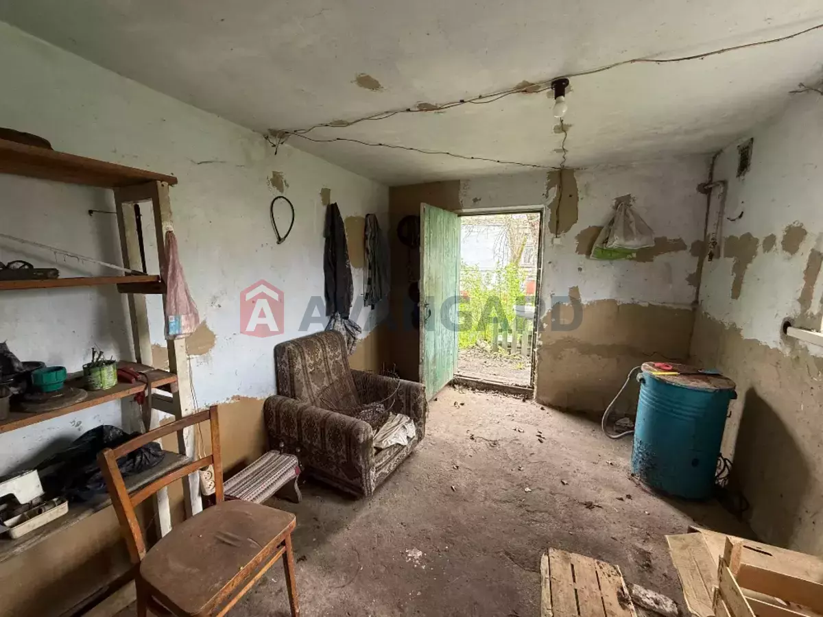 �������, 50 ��.�. ���� 9