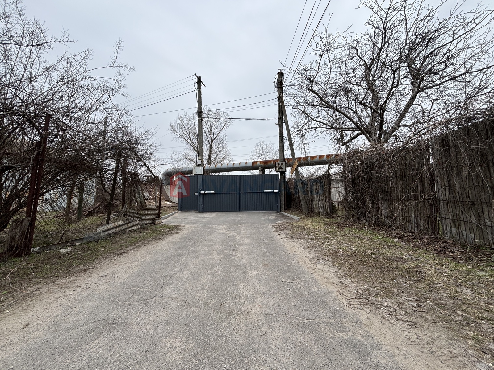 ����, 51 ��.�. ���� 20