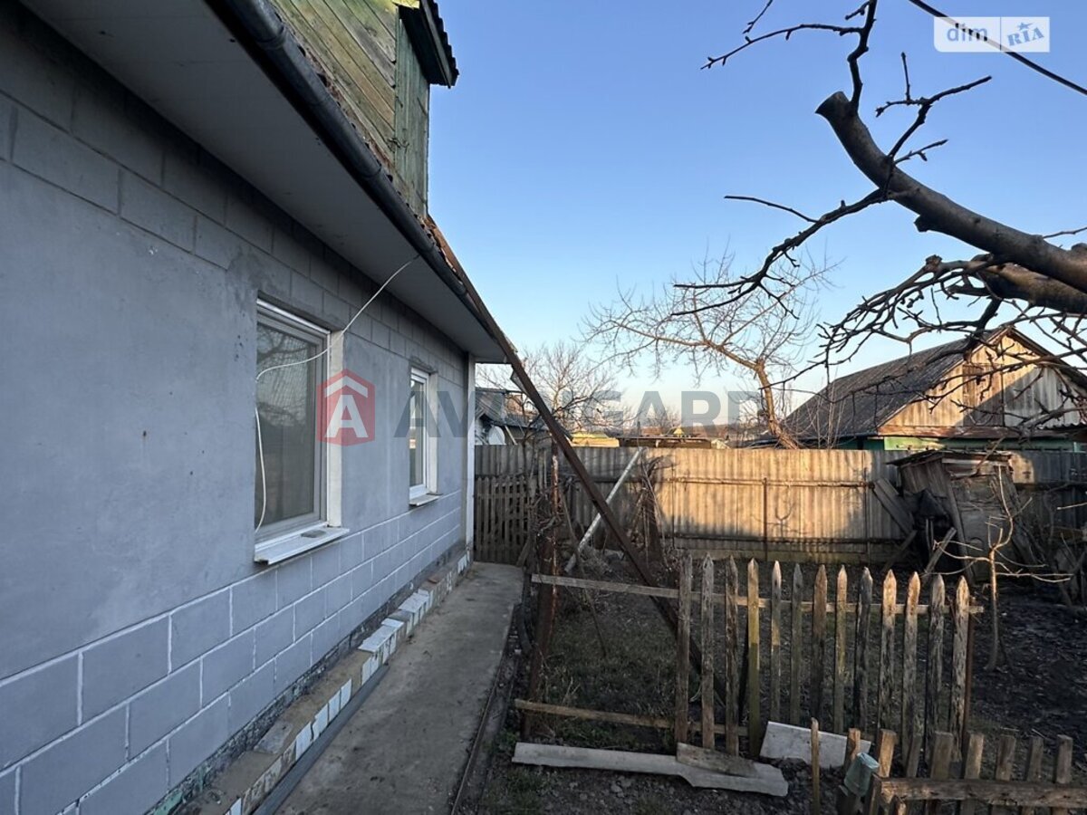 �������, 71 ��.�. ���� 3