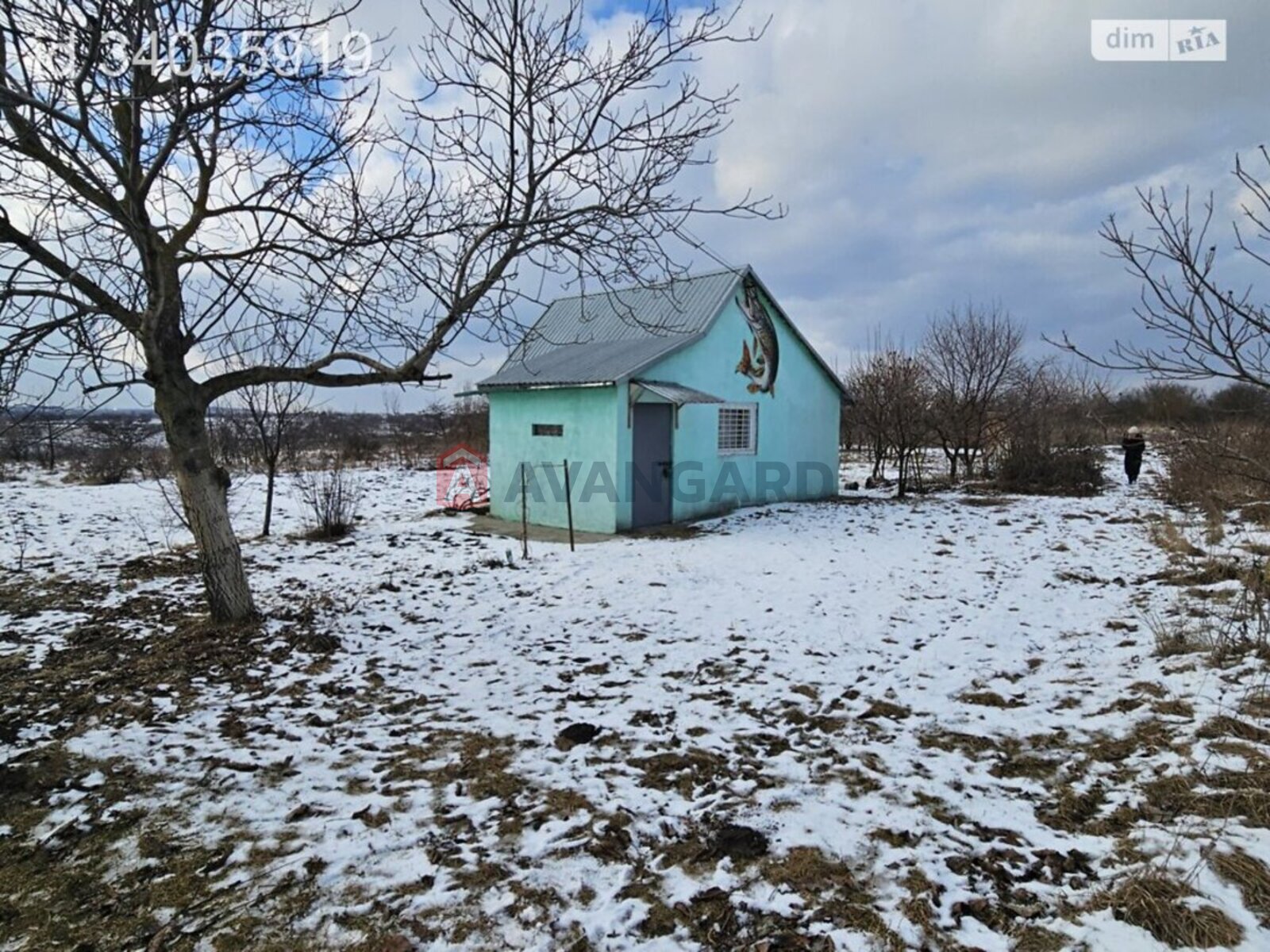 �������, 23 ��.�. ���� 3