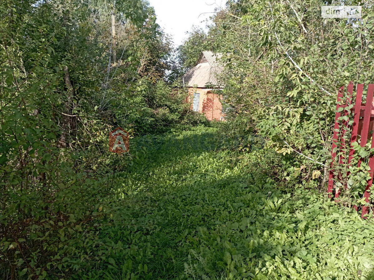 �������, 52 ��.�. ���� 11