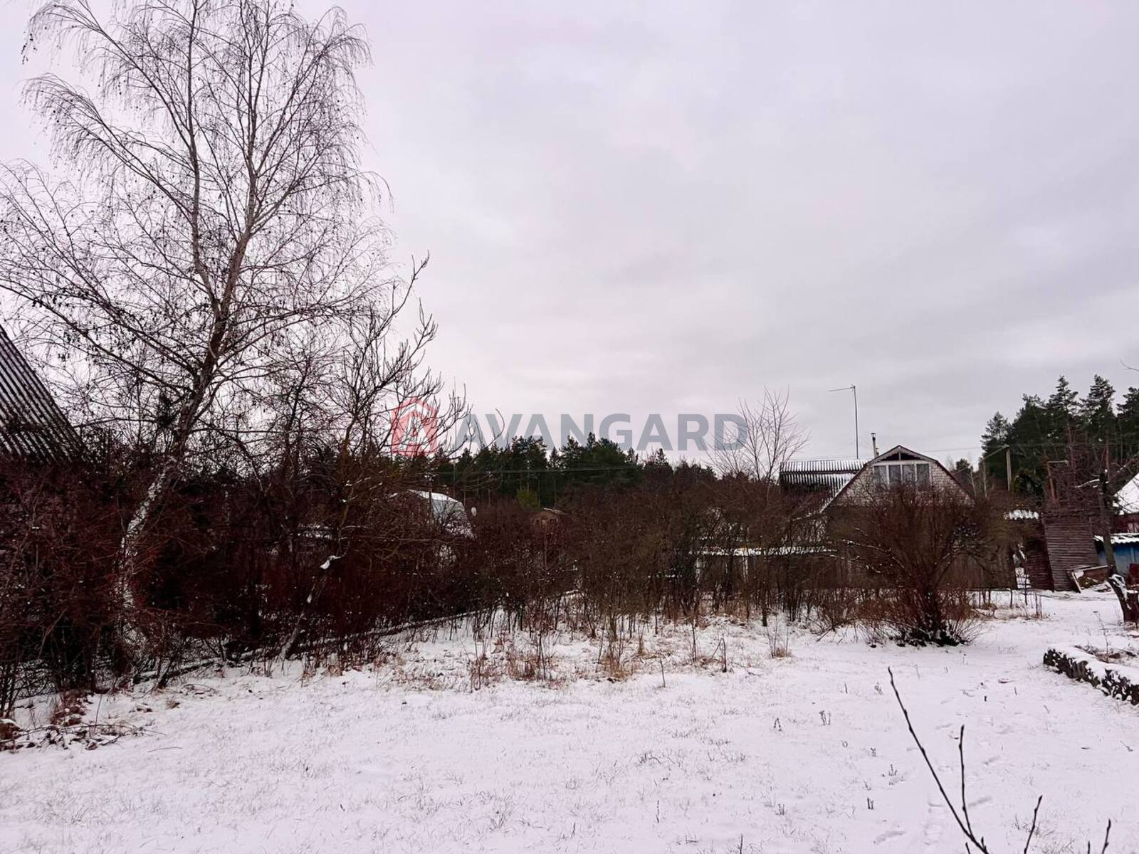 ����, 50 ��.�. ���� 15