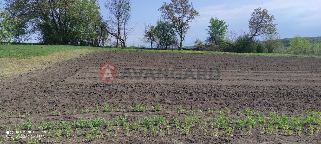 ���, 56 ��.�. ���� 12