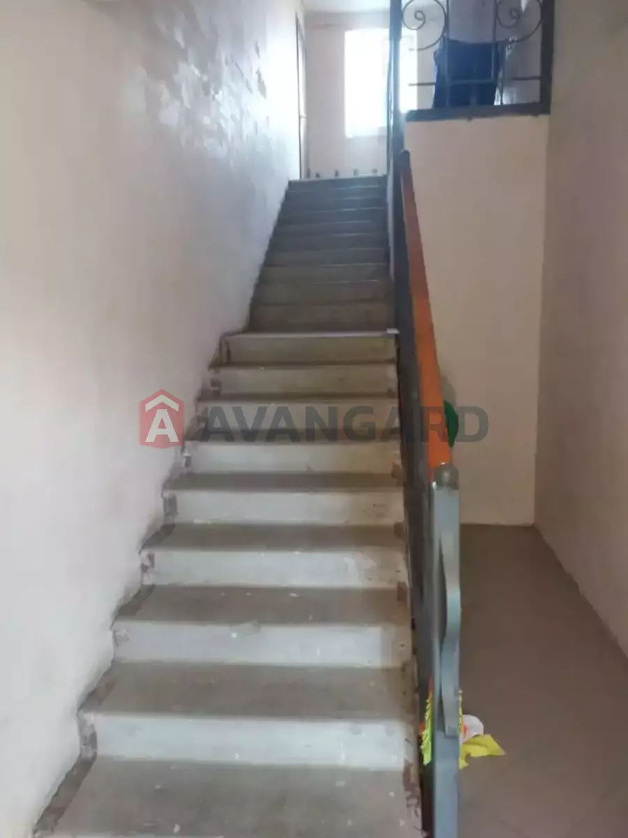 221 ��.�. ���� 6