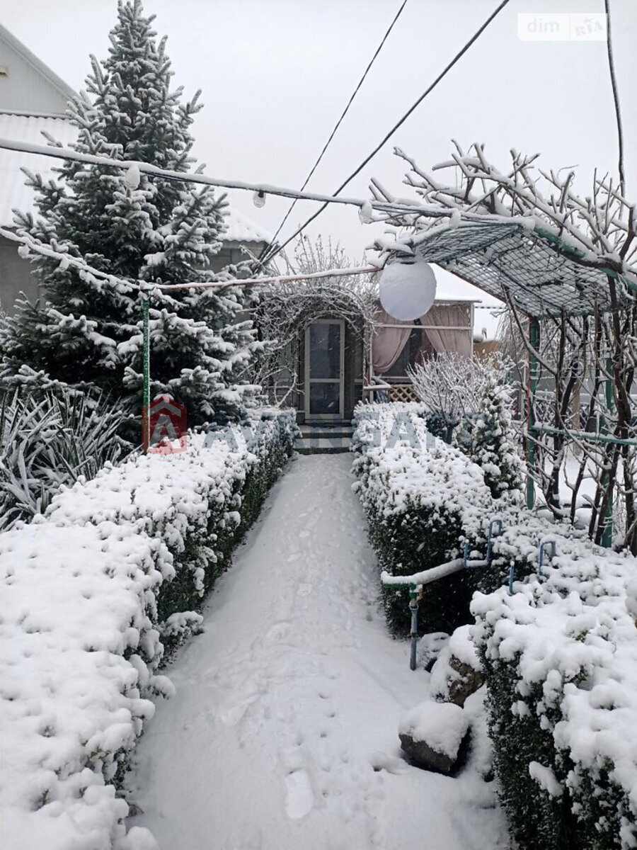 �������, 120 ��.�. ���� 11