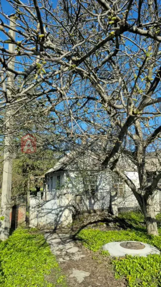 �������, 46 ��.�. ���� 5