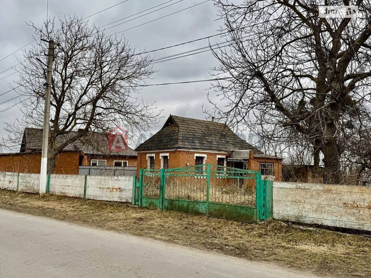 �������, 48 ��.�. ���� 23