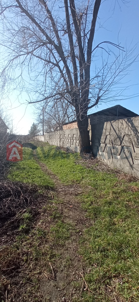 ����, 50 ��.�. ���� 17