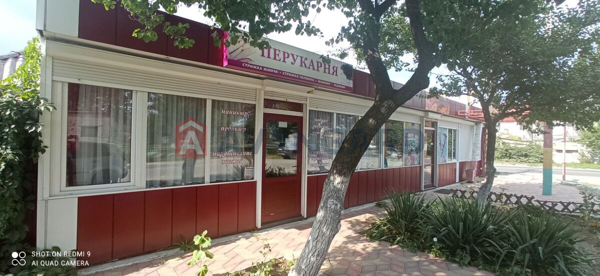 �������, 55 ��.�. ���� 11