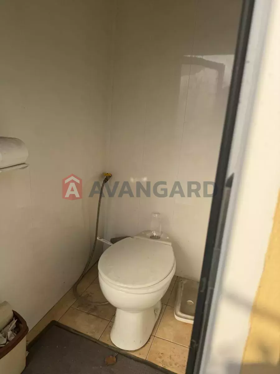 �������, 53 ��.�. ���� 17