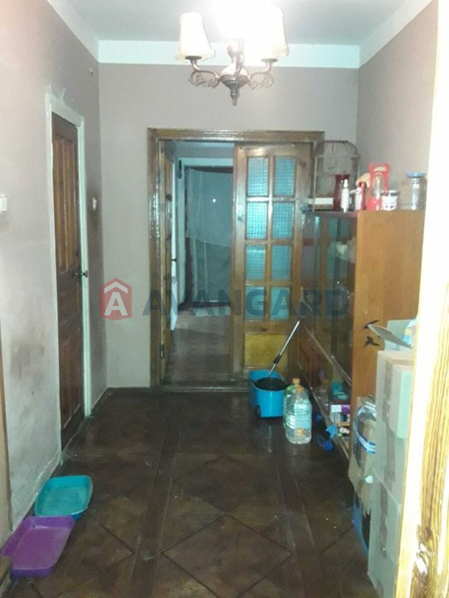 �������, 150 ��.�. ���� 14