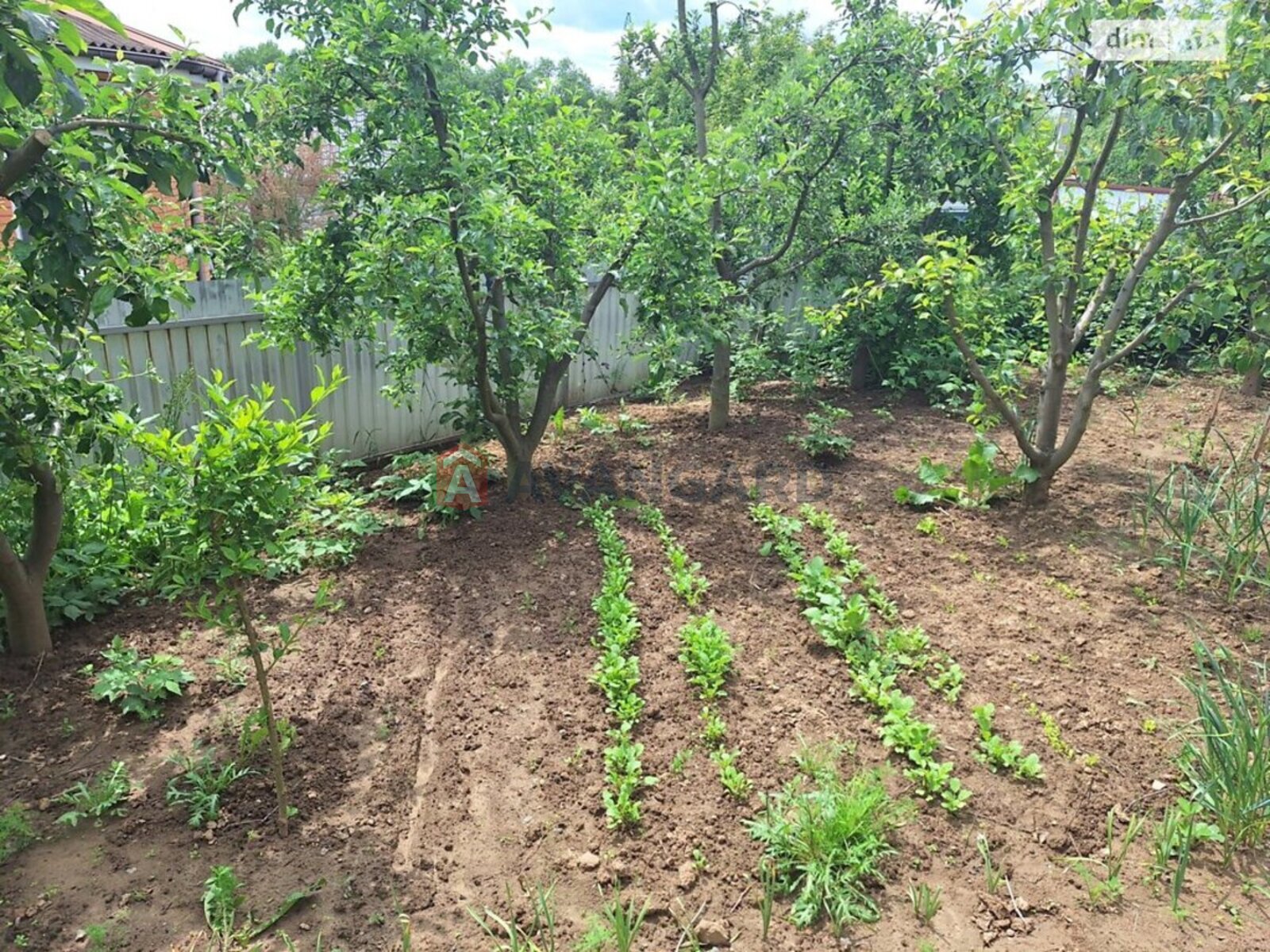 �������, 143 ��.�. ���� 24